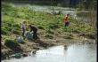 Nettoyage des berges de la Vesdre